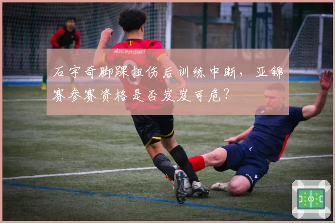 石宇奇脚踝扭伤后训练中断,亚锦赛参赛资格是否岌岌可危?