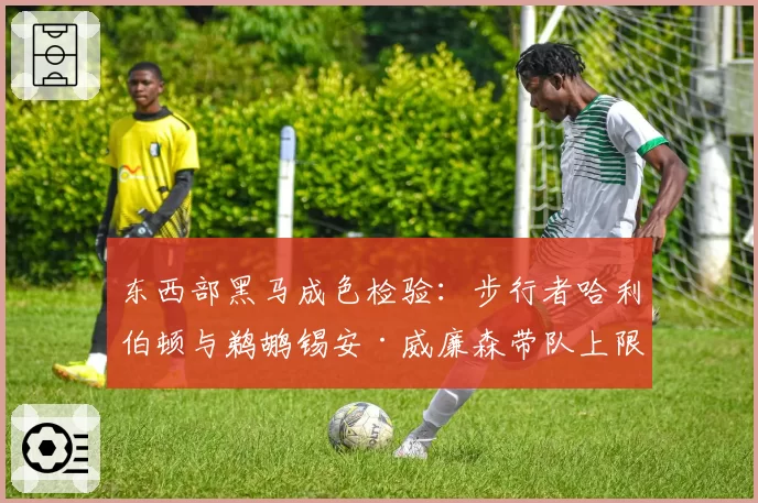 东西部黑马成色检验：步行者哈利伯顿与鹈鹕锡安·威廉森带队上限数据对比