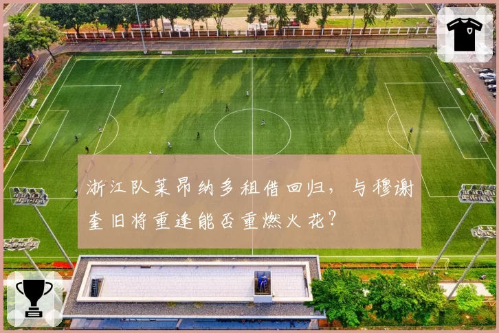 浙江队莱昂纳多租借回归，与穆谢奎旧将重逢能否重燃火花？
