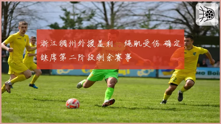 浙江稠州外援盖利腘绳肌受伤 确定缺席第二阶段剩余赛事