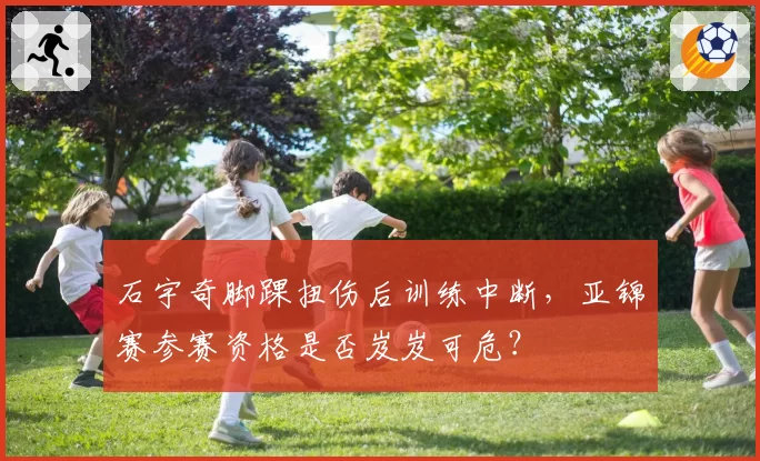 石宇奇脚踝扭伤后训练中断,亚锦赛参赛资格是否岌岌可危?