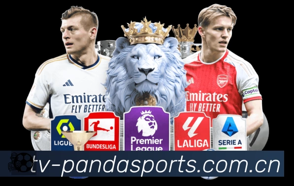 熊猫体育专业体育内容入口